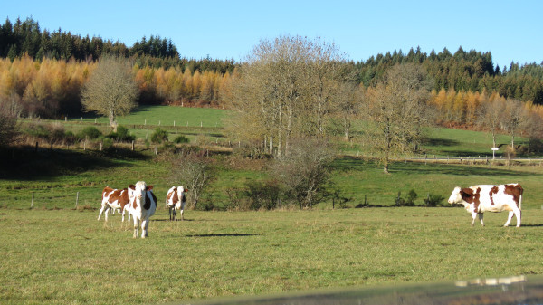 agriculture1