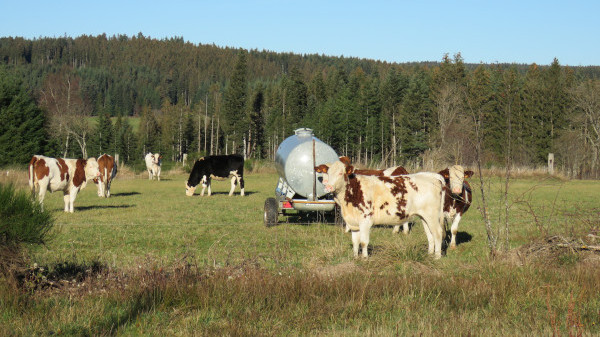 agriculture2