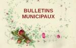 bullemun