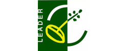 leader