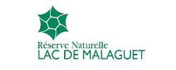 malaguet