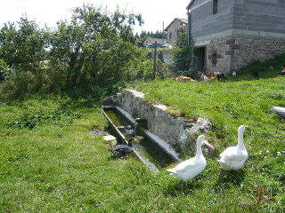 Abreuvoir1