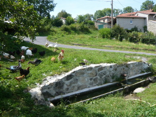 Abreuvoir2