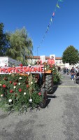 mortessagne6