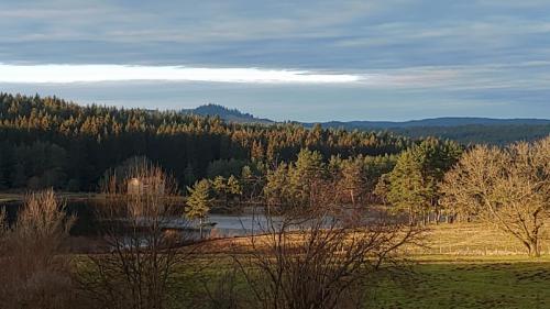 etang